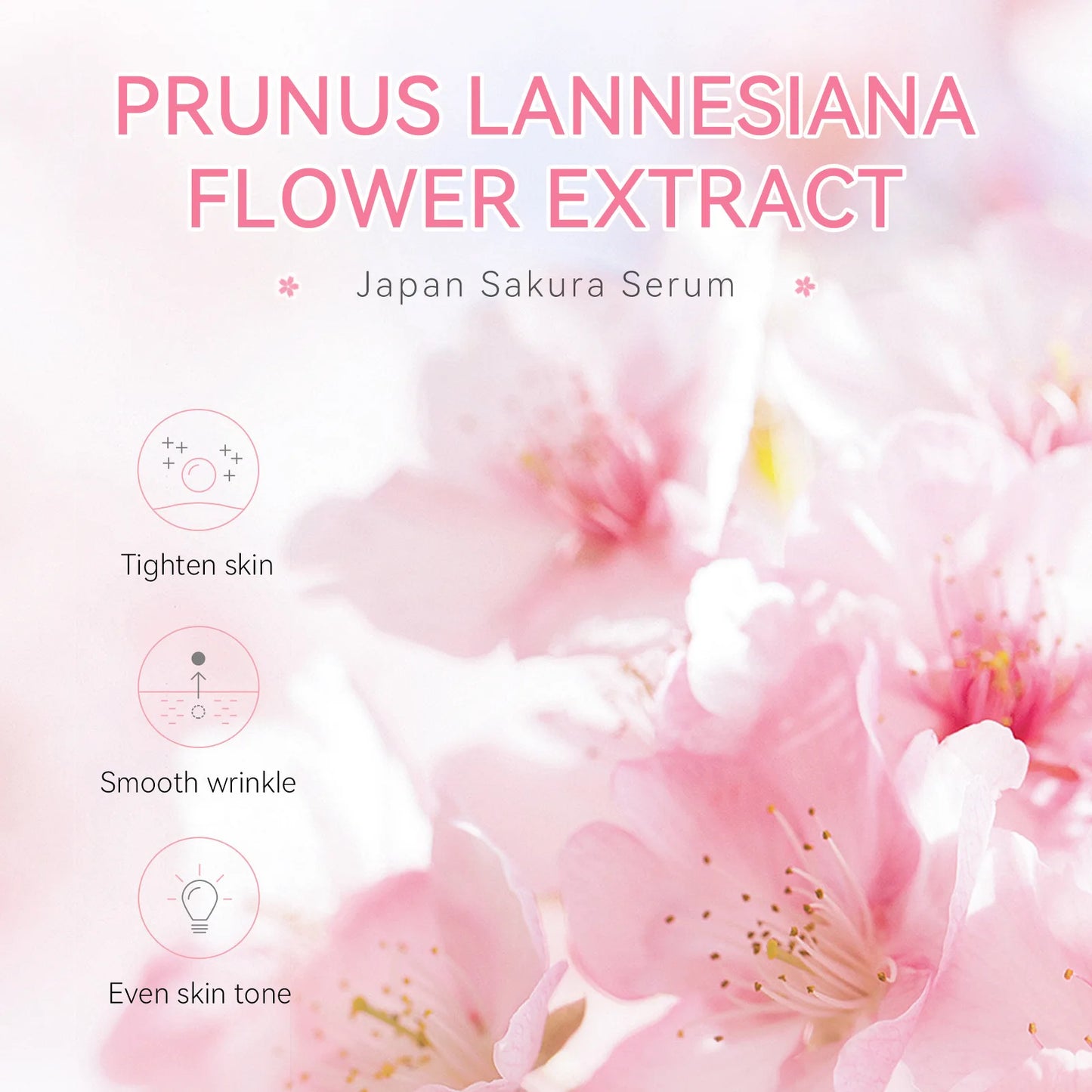 ๐ธ Sakura Face Serum โ Brighten Your Skin , Moisturizes, Anti-Wrinkle & Smooth Fine Lines