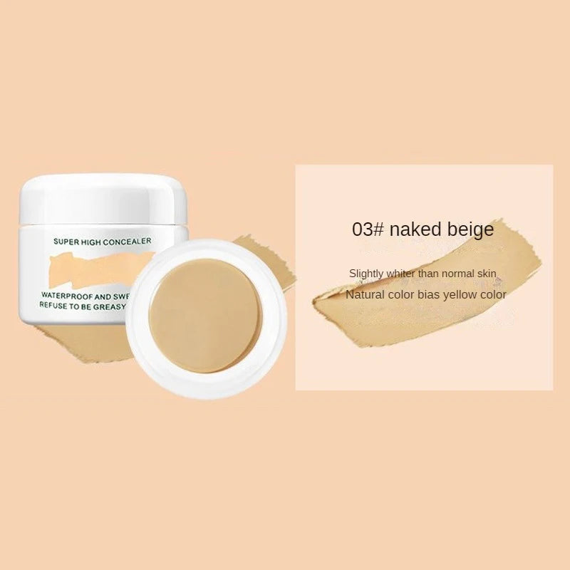 Waterproof Full Coverage Concealer