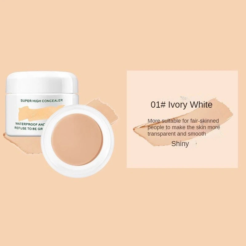 Waterproof Full Coverage Concealer