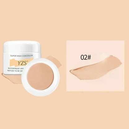 High Coverage Foundation CC Cream Concealer