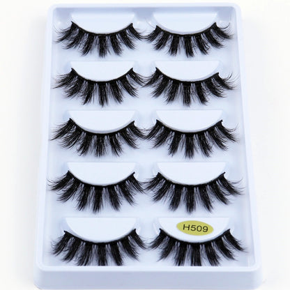 3D Mink Eyelashes Extension