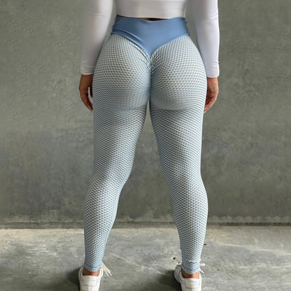 Mesh Yoga Pant Leggings