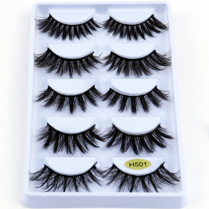 3D Mink Eyelashes Extension