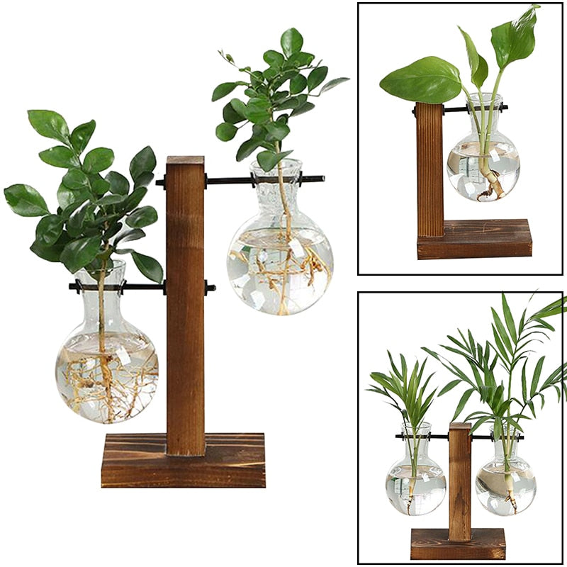 Hydroponic Plant Vases